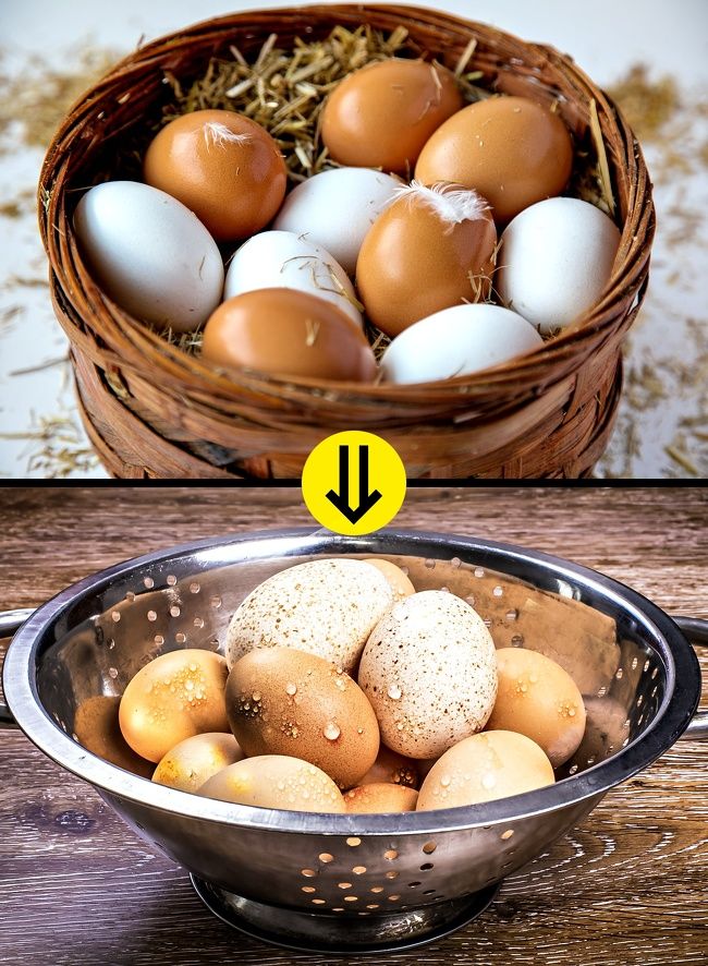 alimentos perigosos 4