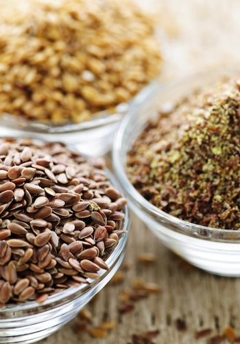seeds gallery 350x500