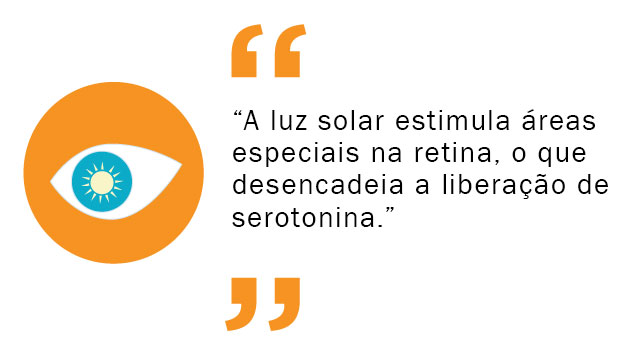 sun quote 1
