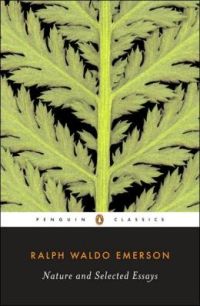 livro 8