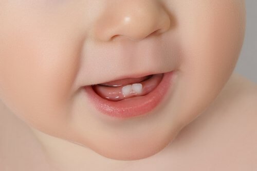 dentinhos de bebe