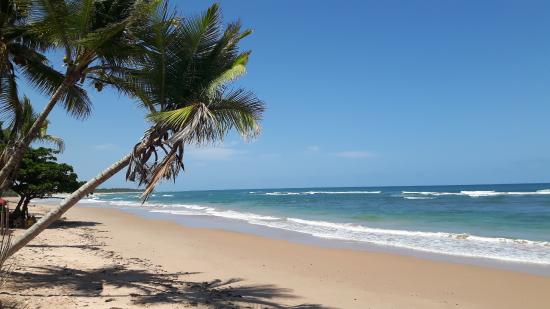 praia de algodao